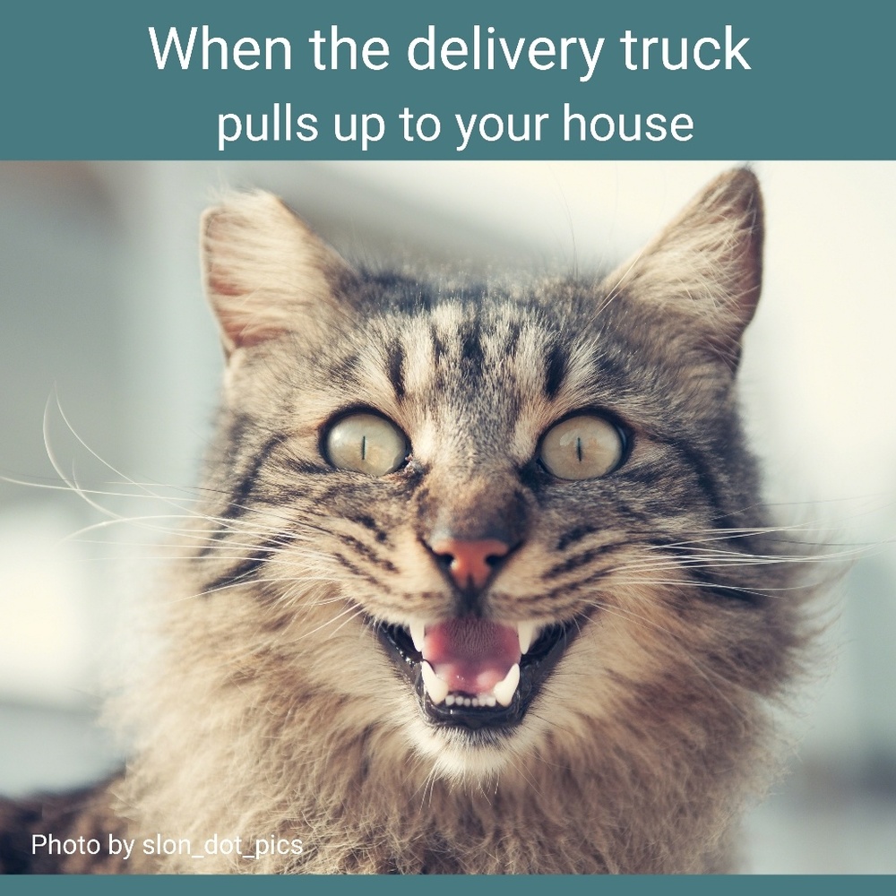 Posh Delivery Days are the best!